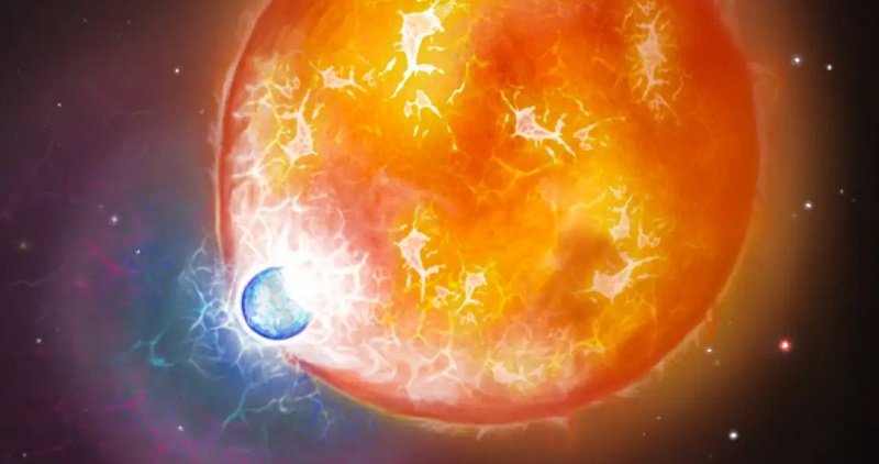 a white dwarf