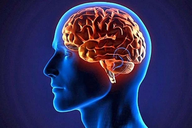 cognitive control
