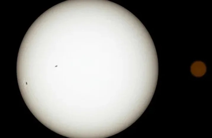 white dwarfs