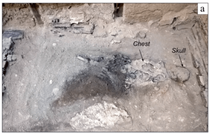 excavations in Herculaneum