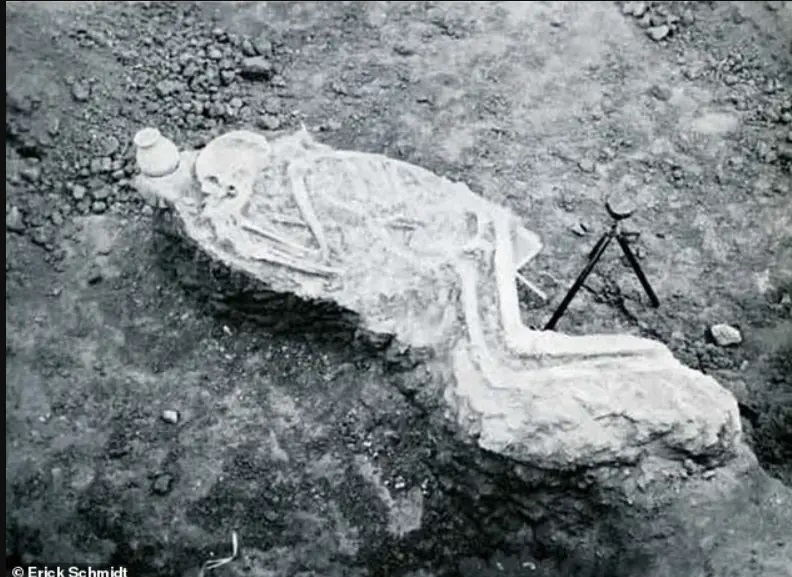 New archaeological findings