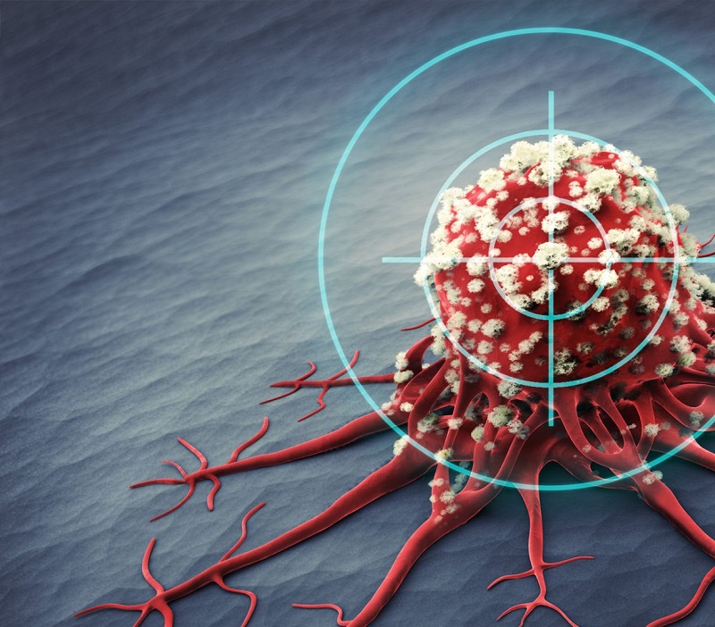 cancer cells