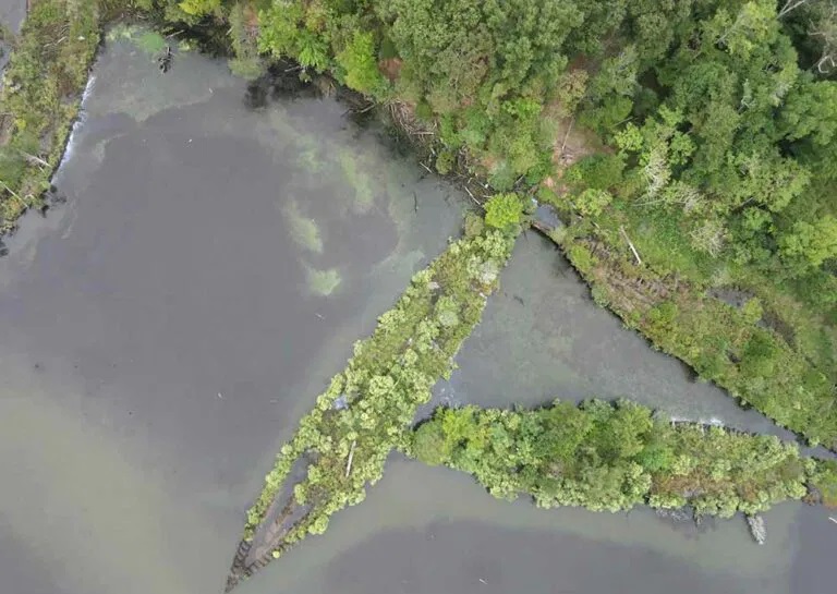 ecosystems