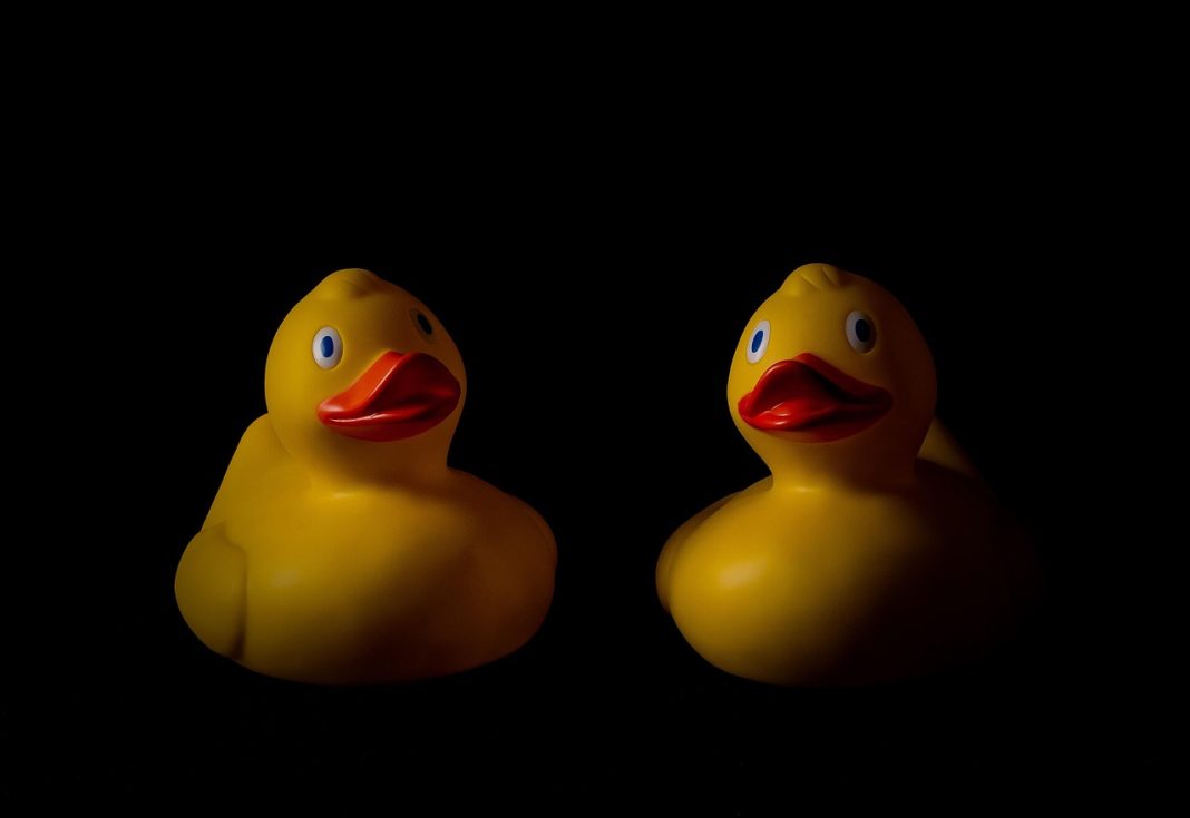 talking to the duck