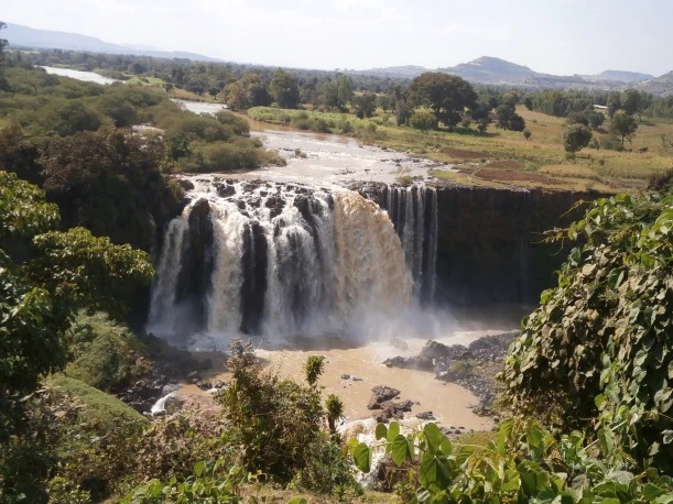 the Bahir Dar area the Bahir Dar area