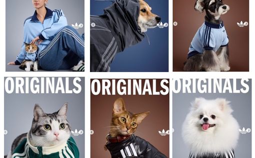 The Adidas Originals brand