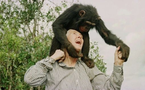Jane Goodall