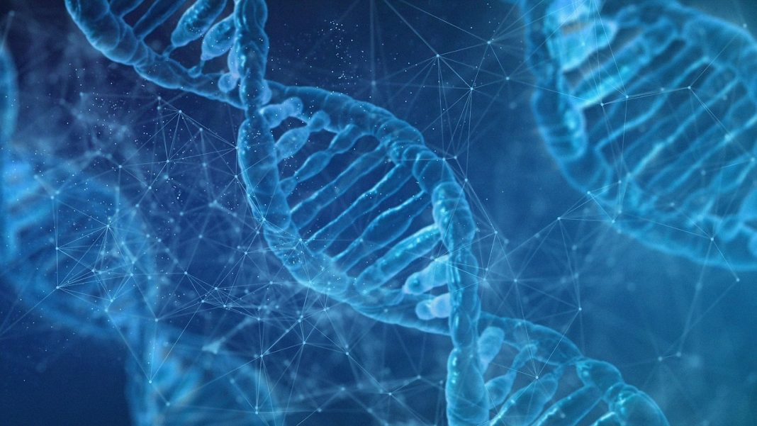dna dna