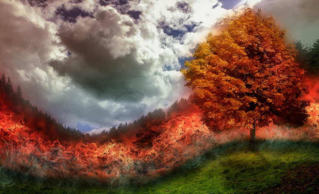 fire